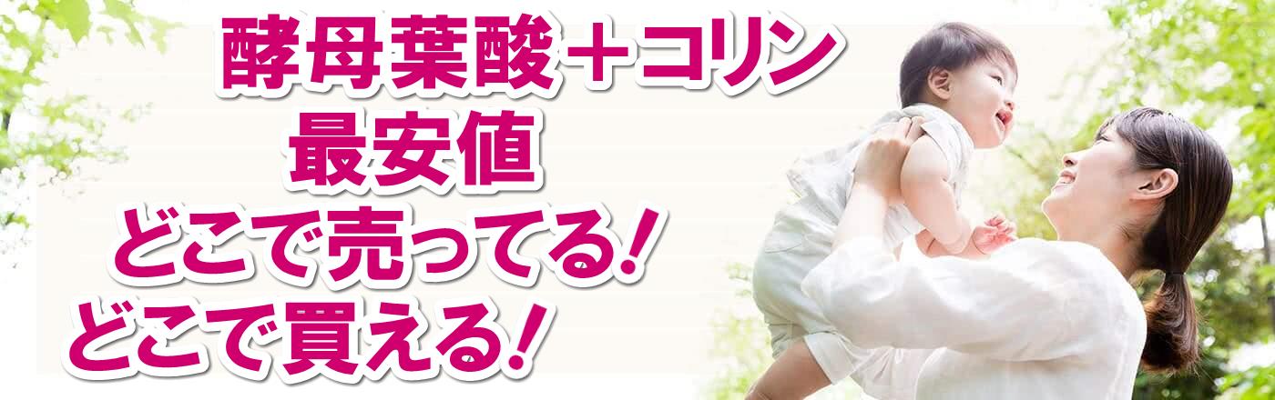 【酵母葉酸＋コリン最安値】どこで売ってる！どこで買える！